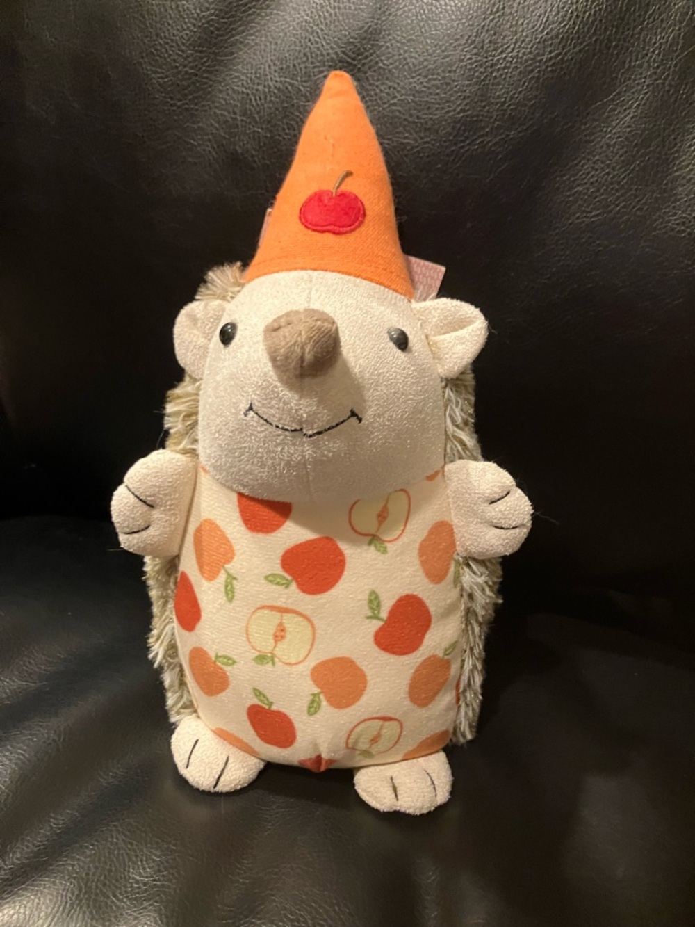 Cute Decorative Hedgehog 🦔